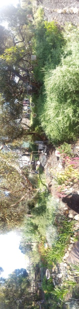 This is a picture of a Fairy Garden at Nick's property